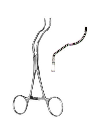 Gregory, Profunda Clamps