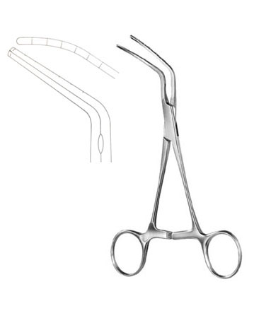 Subramanian, Aortic clamp