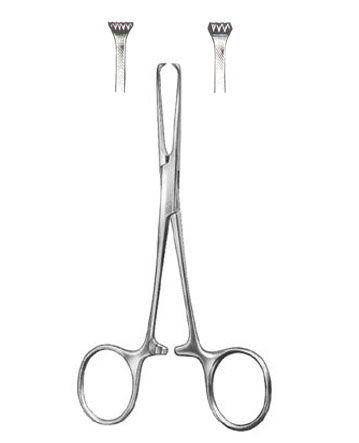 TISSUE & ORGAN HOLDING FORCEPS