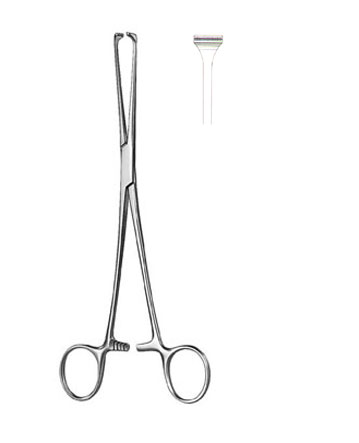 TISSUE & ORGAN HOLDING FORCEPS