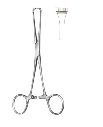 TISSUE & ORGAN HOLDING FORCEPS