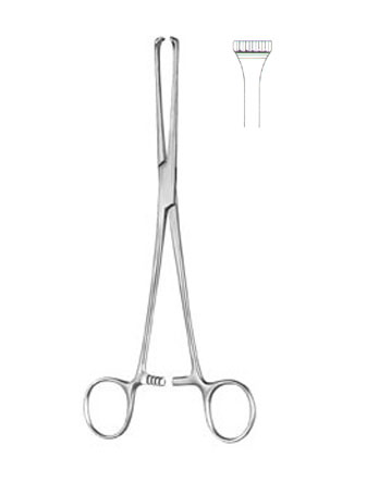 TISSUE & ORGAN HOLDING FORCEPS