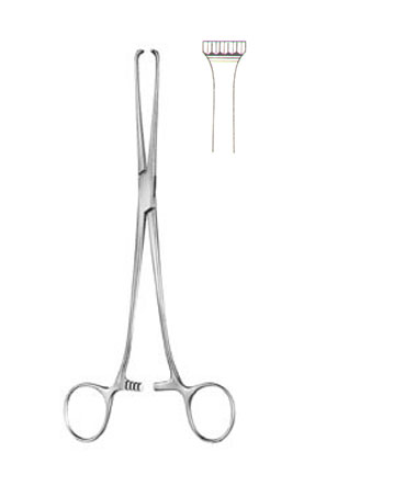 TISSUE & ORGAN HOLDING FORCEPS