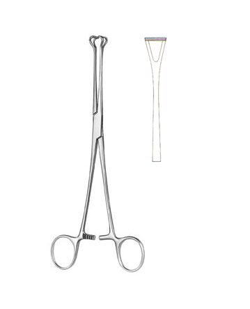 TISSUE & ORGAN HOLDING FORCEPS