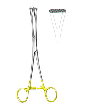 TISSUE & ORGAN HOLDING FORCEPS