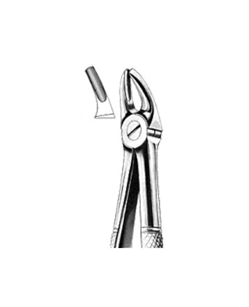 EXTRACTING FORCEPS